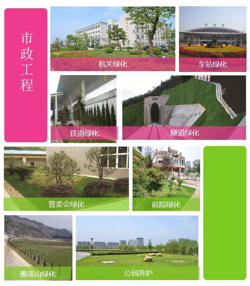 綠化苗木 百通生態(tài)環(huán)境 購(gòu)買(mǎi)綠化苗木