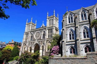 夢想照進(jìn)現(xiàn)實 在新西蘭學(xué)習(xí)動漫技術(shù)開發(fā)，踏上成為下一個宮崎駿的旅程